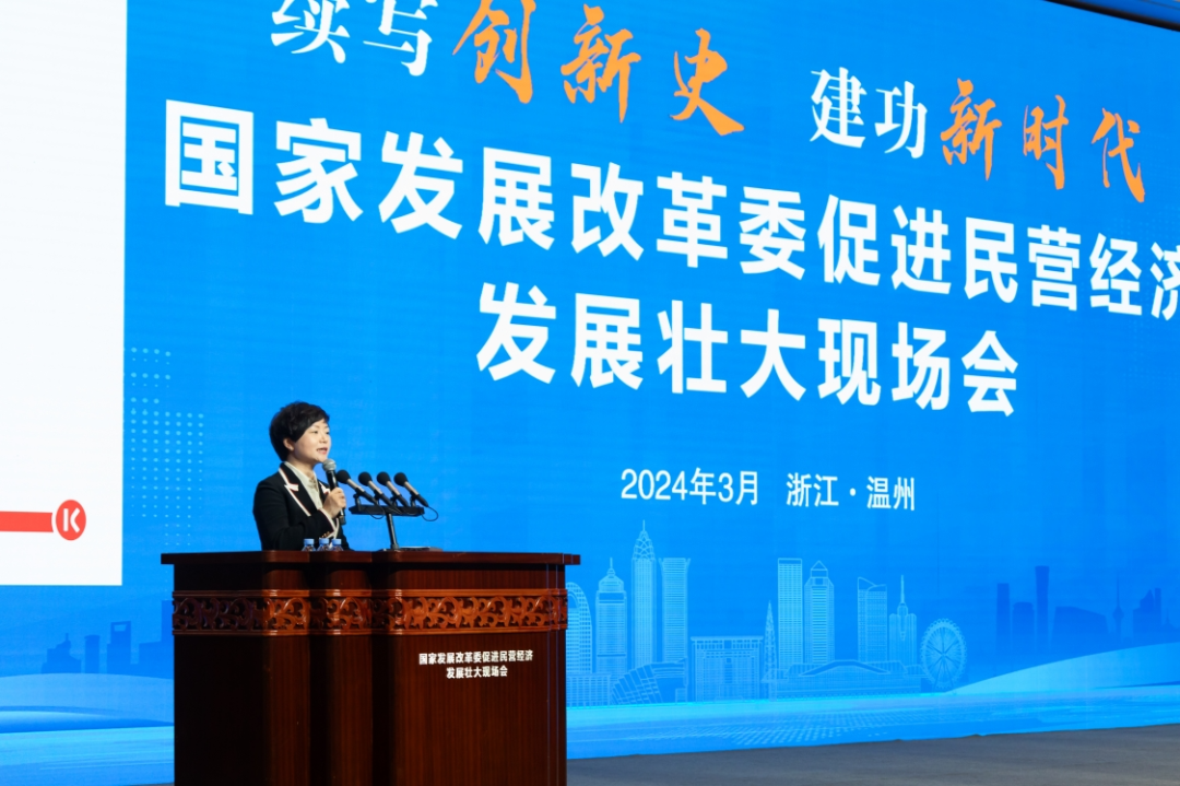 郑莱莉：守正创新，企业家精神越烧越旺